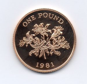 guernsey-1981-proof-1338